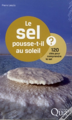 Capa do artigo Le Sel Pousse-T-Il Au Soleil ? 120 Clés Pour Comprendre Le Sel