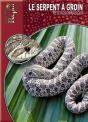 Le Serpent À Groin - Preview