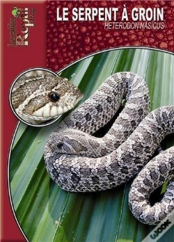 Capa do artigo Le Serpent À Groin