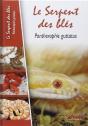 Le Serpent Des Blés - Pantherophis Guttatus - Preview