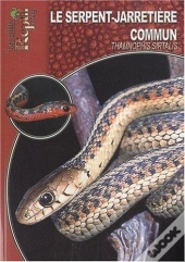 Le Serpent-Jarretière Commun - Thamnophis Sirtalis