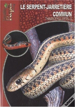 Capa do artigo Le Serpent-Jarretière Commun - Thamnophis Sirtalis