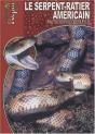 Le Serpent-Ratier Américain - Pantherophis Obsoletus, Elaphe Obsoleta - Preview