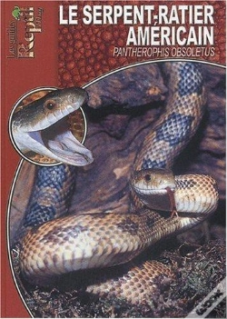 Capa do artigo Le Serpent-Ratier Américain - Pantherophis Obsoletus, Elaphe Obsoleta