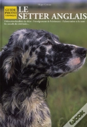 Le Setter Anglais
