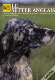 Capa do artigo Le Setter Anglais
