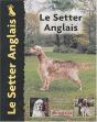 Le Setter Anglais - Preview