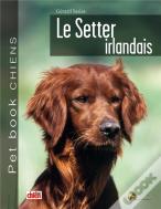 Le Setter Irlandais