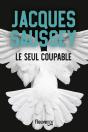 Le Seul Coupable - Preview