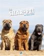 Le Shar-Peï - Preview