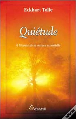 Capa do artigo Le Silence Apprivoise ; Quietude