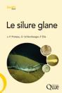 Le Silure Glane - Preview