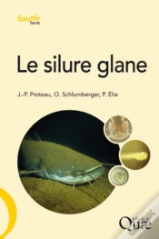 Capa do artigo Le Silure Glane