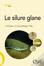 Capa do artigo Le Silure Glane