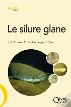 Capa do artigo Le Silure Glane