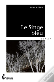 Capa do artigo Le Singe Bleu