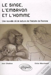 Capa do artigo Le Singe, L