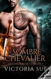 Capa do artigo Le Sombre Chevalier : Les Gardiens De Camelot, T3