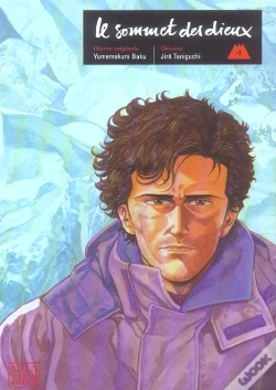 Capa do artigo Le Sommet Des Dieux T.4