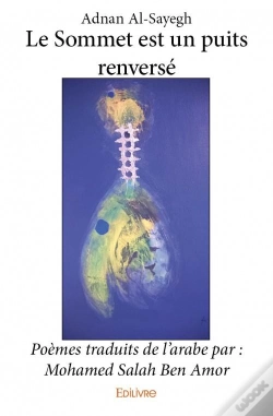 Capa do artigo Le Sommet Est Un Puits Renverse