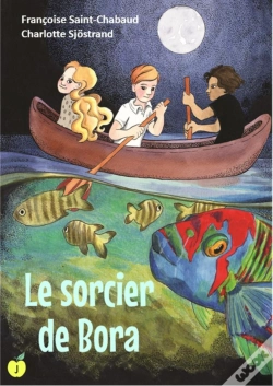 Capa do artigo Le Sorcier De Bora