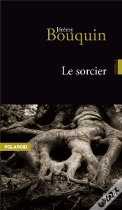 Capa do artigo Le Sorcier