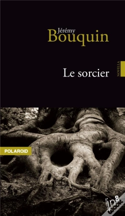 Capa do artigo Le Sorcier
