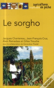 Capa do artigo Le Sorgho