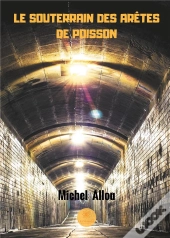 Le Souterrain Des Aretes De Poisson