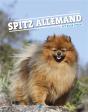 Le Spitz Allemand - Preview
