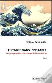 Le Stable Dans L'Instable Les Peregrinations D'Un Rescape De Dien-Bien-Phu