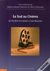 Capa do artigo Le Sud Au Cinéma ; De The Birth Of A Nation À Cold Mountain