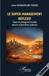 Le Super-Management Réflexif : Praxis Du Pilotage De L'Invisible Dans Les Organisations Publiques