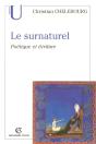 Le Surnaturel ; Poétique Et Écriture - Preview