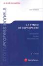 Le Syndic De Copropriété ; Désignation, Mission, Responsabilité (6e Édition) - Preview