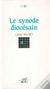 Le Synode Diocesain