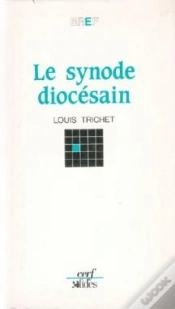 Capa do artigo Le Synode Diocesain