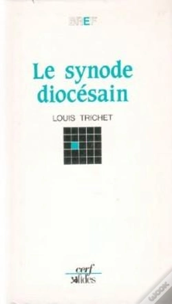 Capa do artigo Le Synode Diocesain