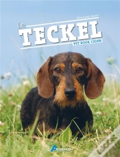 Capa do artigo Le Teckel