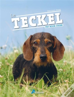 Capa do artigo Le Teckel