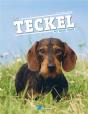 Le Teckel - Preview