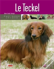 Capa do artigo Le Teckel