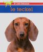 Le Teckel - Preview