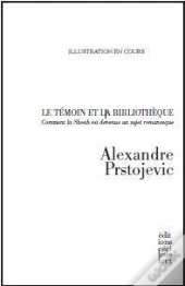 Le Témoin Et La Bibliothèque ; Comment La Shoah Est Devenue Un Sujet Romanesque