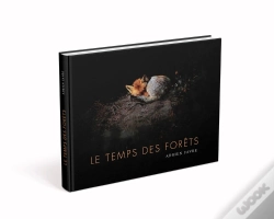 Capa do artigo Le Temps Des Forêts