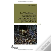 Le Ténébreux Palimpseste Du Sondeur Des Profondeurs