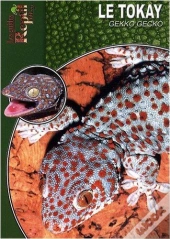 Le Tokay, Gekko, Gecko