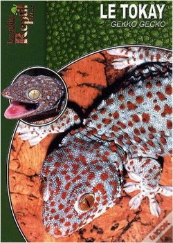 Capa do artigo Le Tokay, Gekko, Gecko