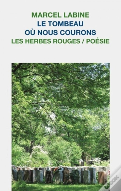 Capa do artigo Le Tombeau Ou Nous Courons