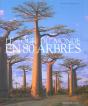 Le Tour Du Monde En 80 Arbres - Preview